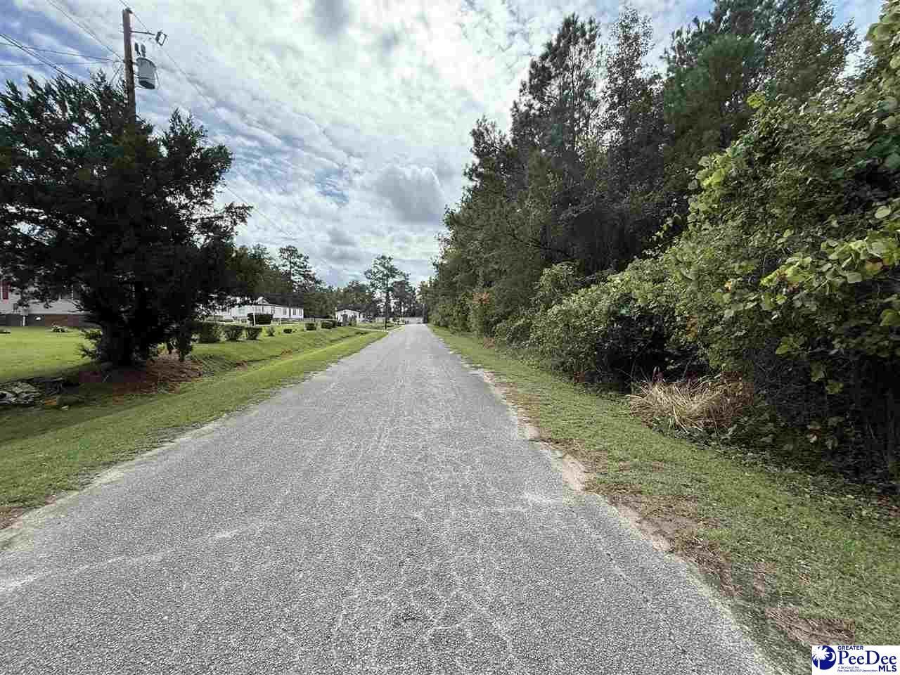 185 Solomon Circle Photo 7