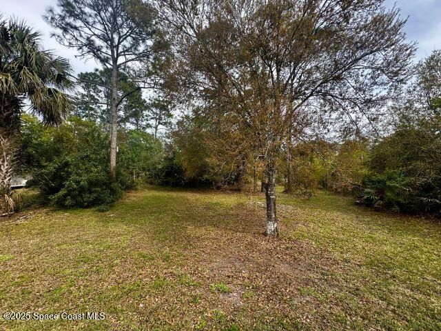 4035 Toby Avenue, Grant-valkaria, FL 32950 Photo