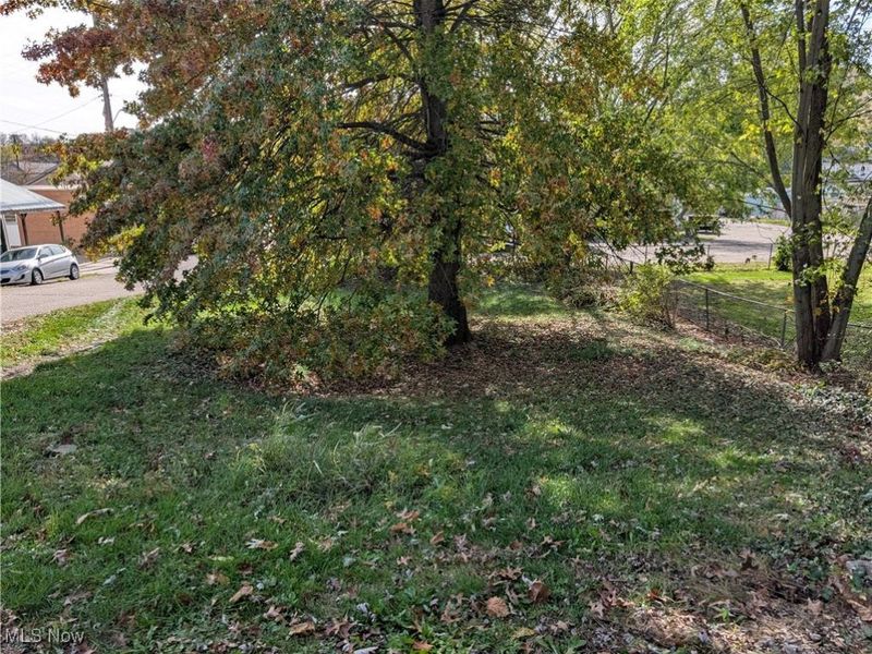 190 W Main Street, Quaker City, OH 43773 Photo 22