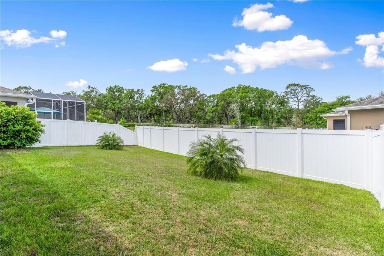 6003 Nightjar Court, Okahumpka, FL 34762 Photo