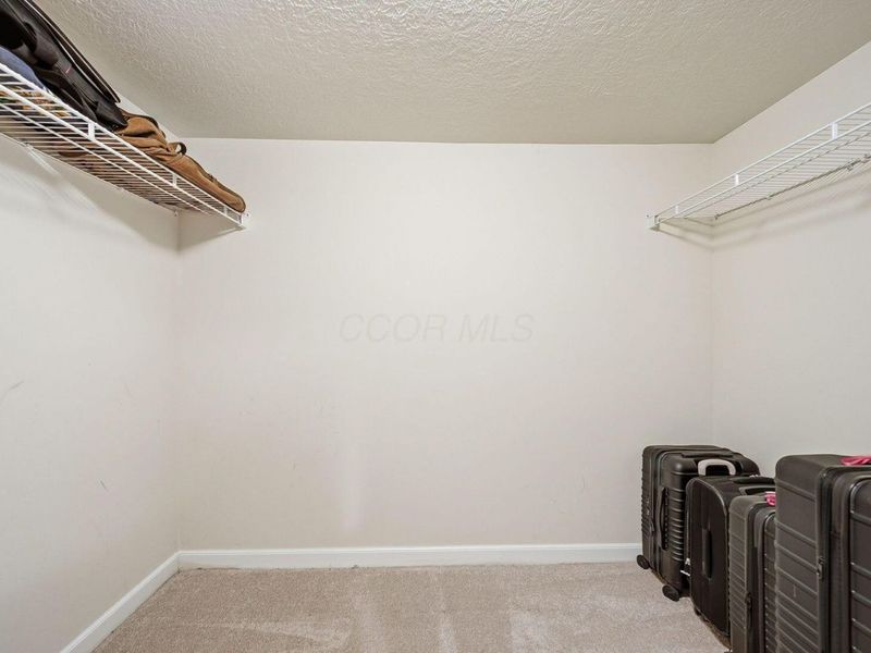 5406 Bullfinch Drive, Westerville, OH 43081 Photo 54