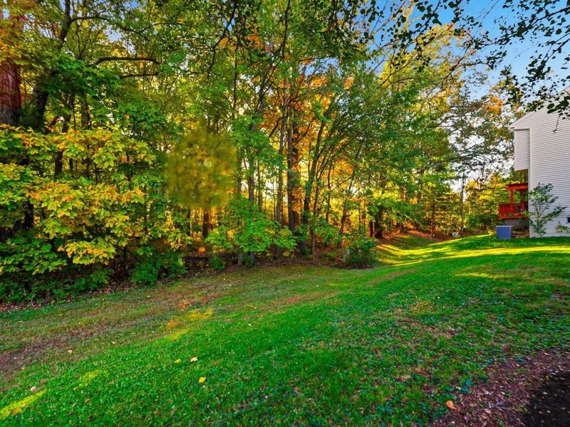 5406 Bullfinch Drive, Westerville, OH 43081 Photo 69