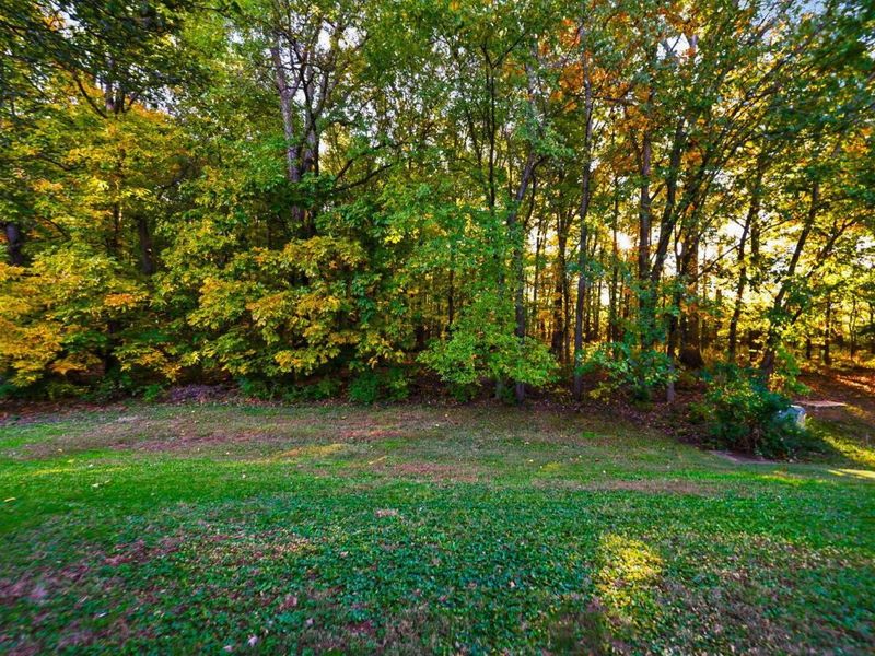 5406 Bullfinch Drive, Westerville, OH 43081 Photo 70