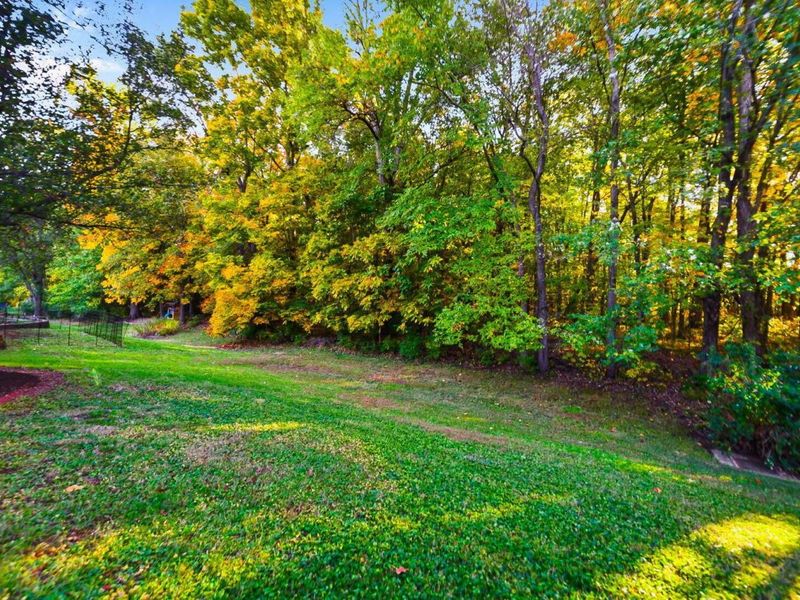 5406 Bullfinch Drive, Westerville, OH 43081 Photo 71