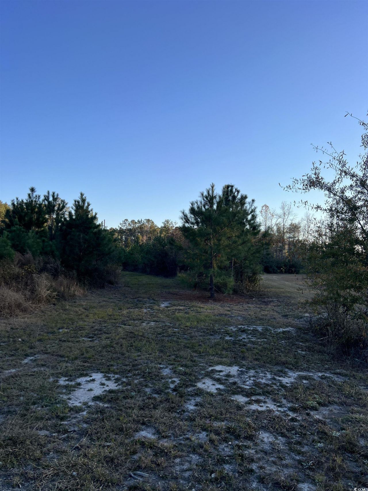 5241 Cates Bay Hwy. Photo 17