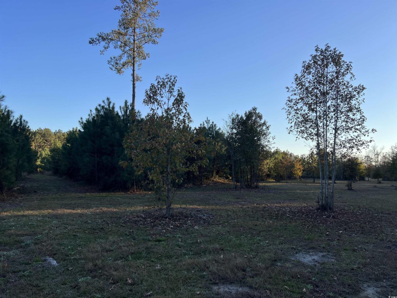 5241 Cates Bay Hwy. Photo 21