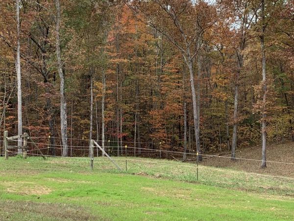 248 Crockett Creek Drive, Jamestown, TN 38556