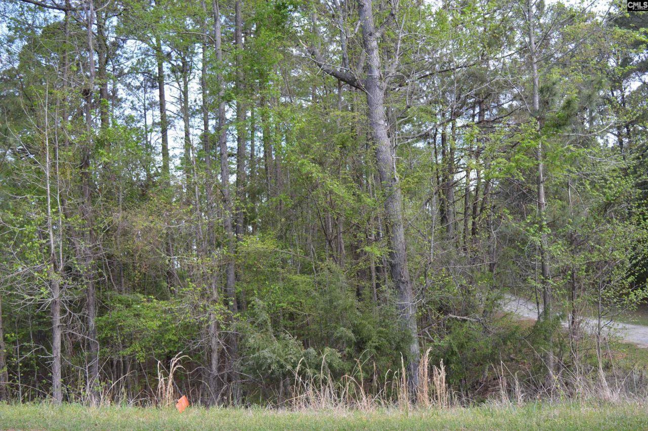 49 Club Lane Photo 4