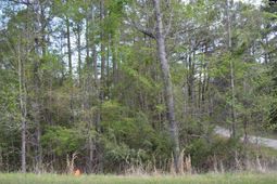 49 Club Lane photo 4