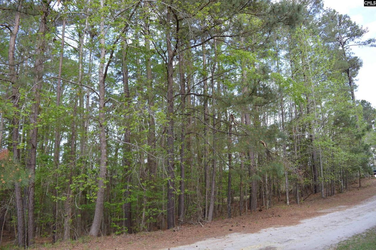 49 Club Lane Photo 5