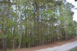 49 Club Lane photo 4