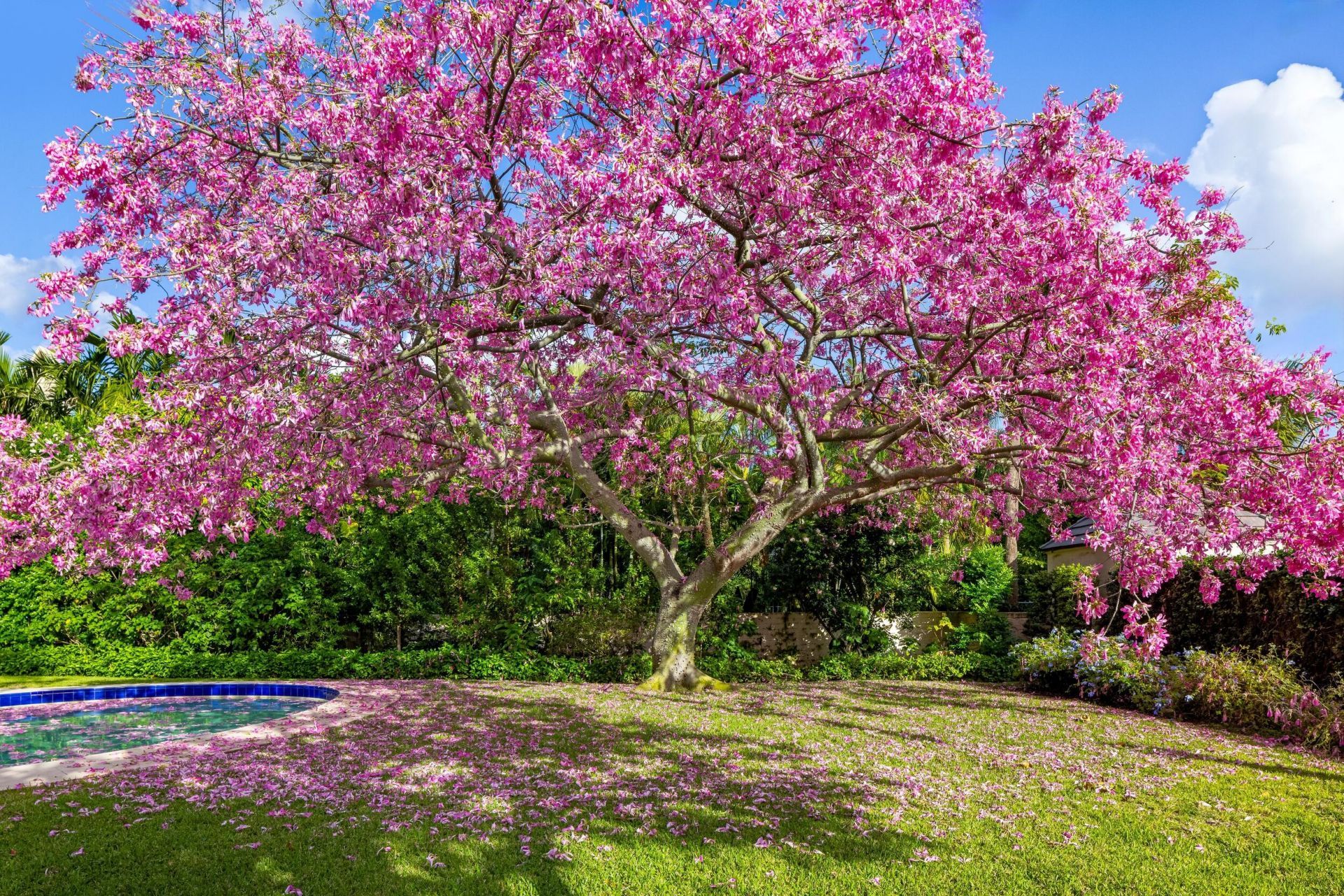 334 Barton Avenue, Palm Beach, FL 33480 Photo