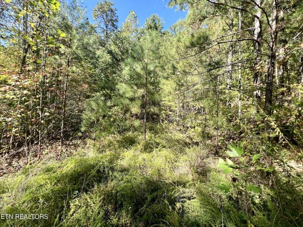 5.61 Acres Creek Hollow Way, Sevierville, TN 37876