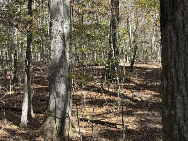 Irene Lane, Loudon, TN 37774