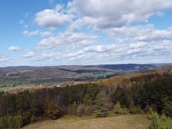 0 Baker Road, Butternuts, NY 13776