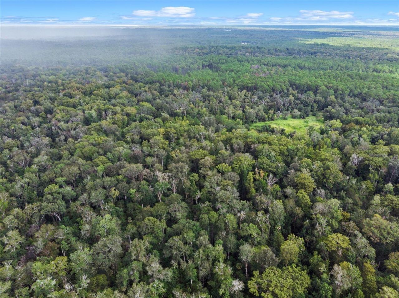 Nfs 73 / Alco Road, Astor, FL 32102 Photo