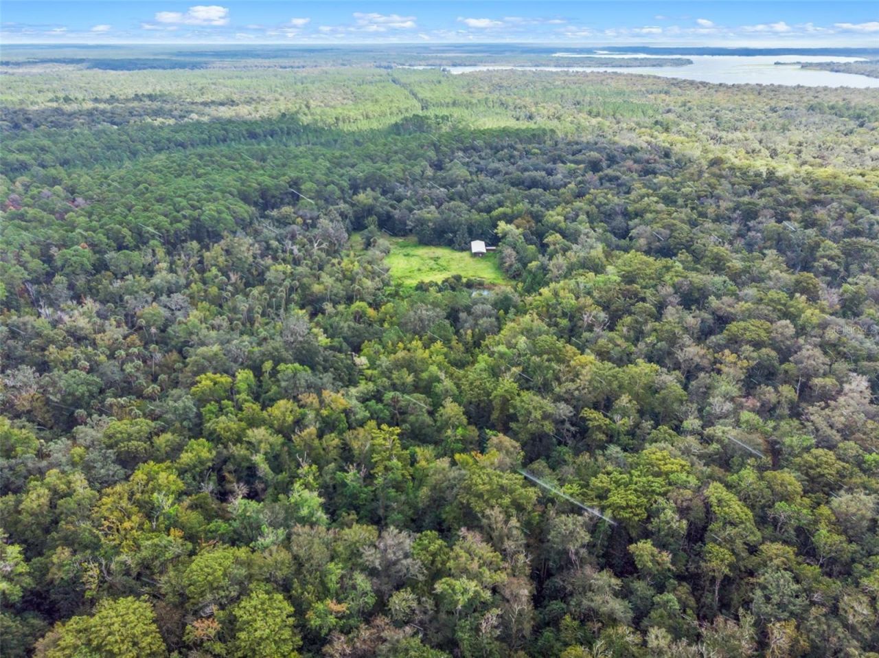 Nfs 73 / Alco Road, Astor, FL 32102 Photo