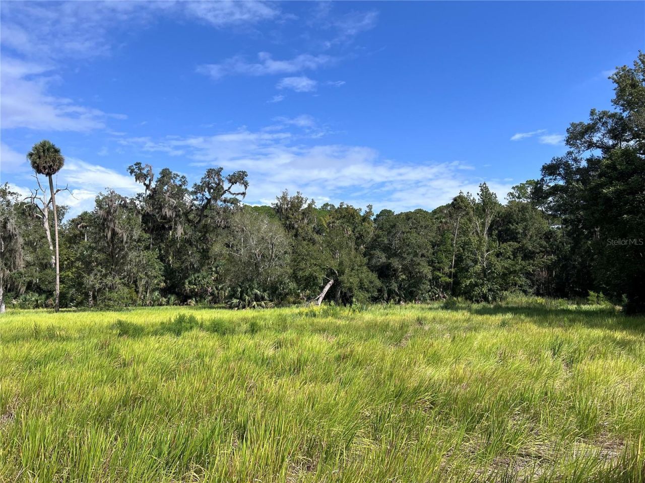 Nfs 73 / Alco Road, Astor, FL 32102 Photo