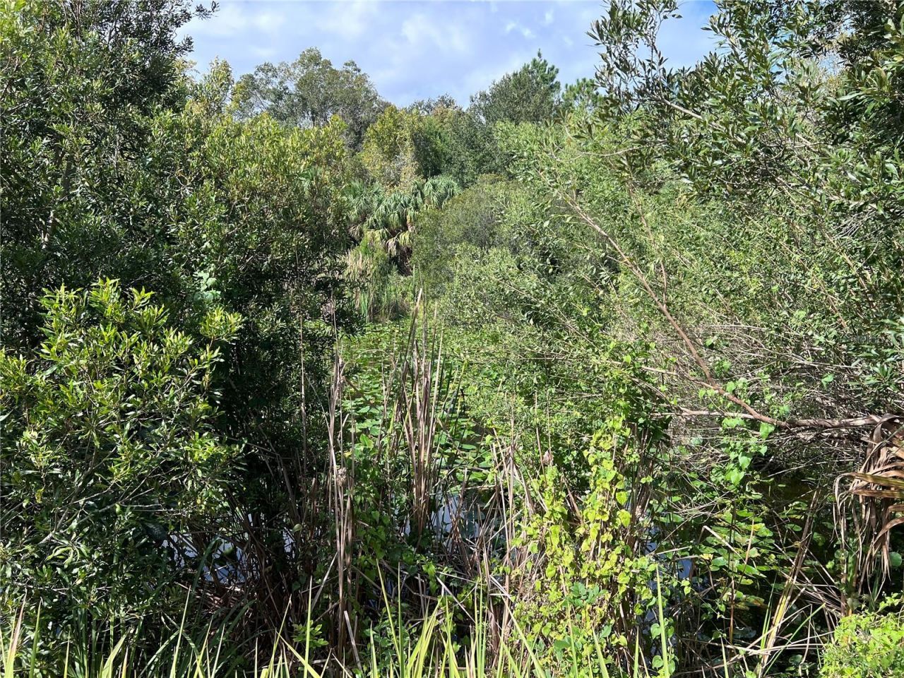 Nfs 73 / Alco Road, Astor, FL 32102 Photo