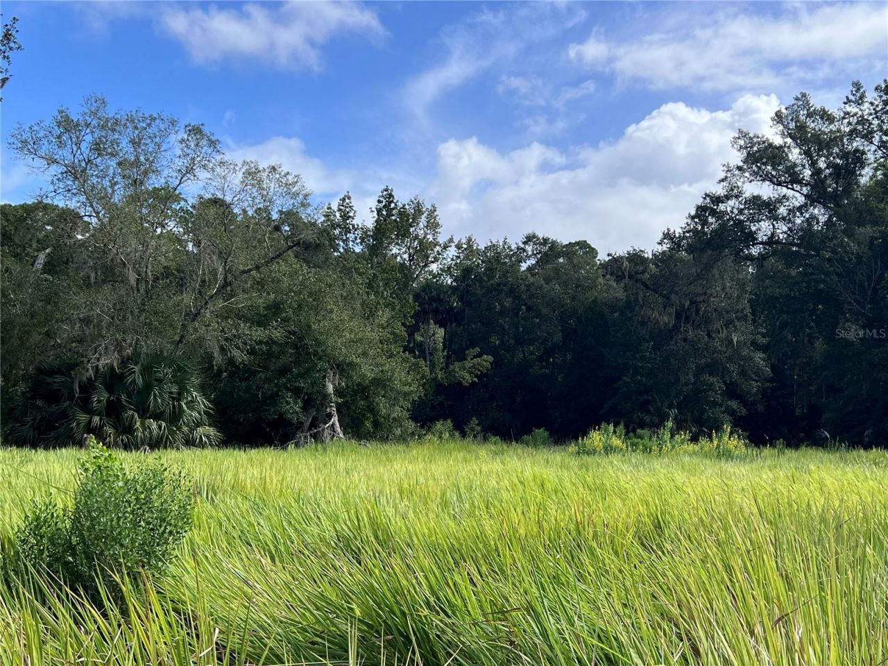 Nfs 73 / Alco Road, Astor, FL 32102 Photo