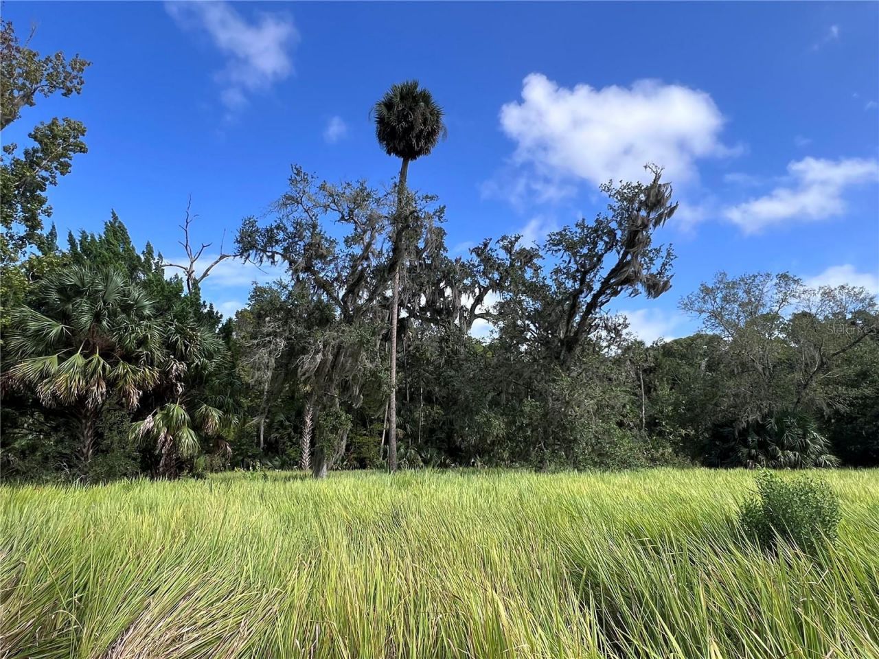 Nfs 73 / Alco Road, Astor, FL 32102 Photo