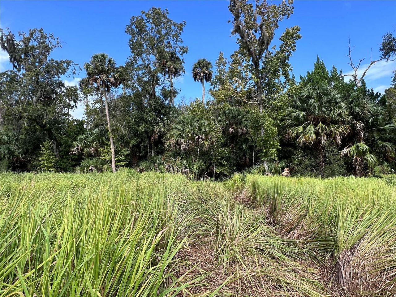 Nfs 73 / Alco Road, Astor, FL 32102 Photo