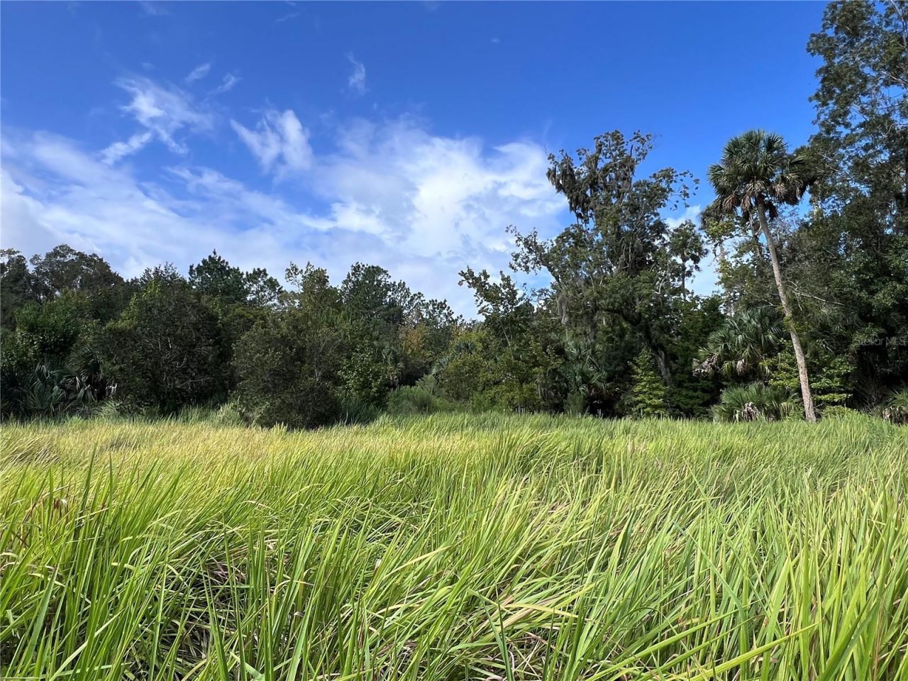 Nfs 73 / Alco Road, Astor, FL 32102 Photo