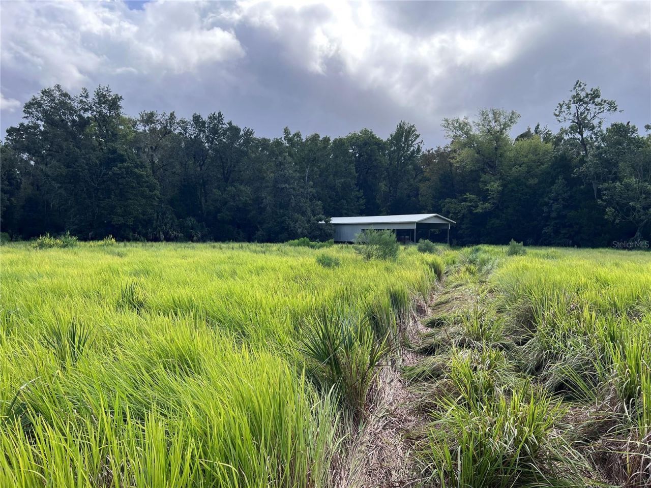 Nfs 73 / Alco Road, Astor, FL 32102 Photo