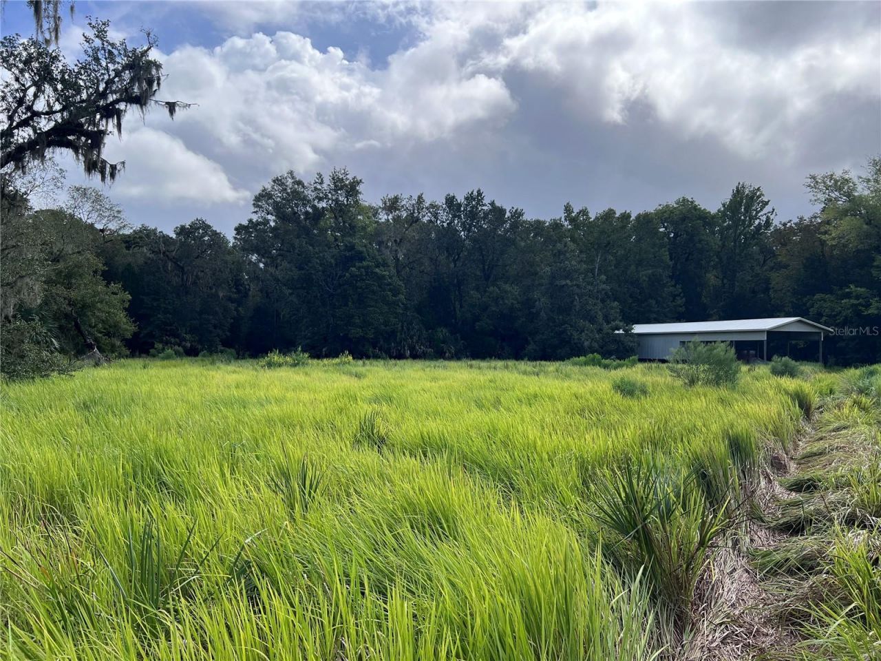Nfs 73 / Alco Road, Astor, FL 32102 Photo
