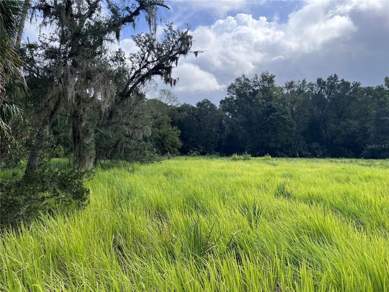 Nfs 73 / Alco Road, Astor, FL 32102 Photo