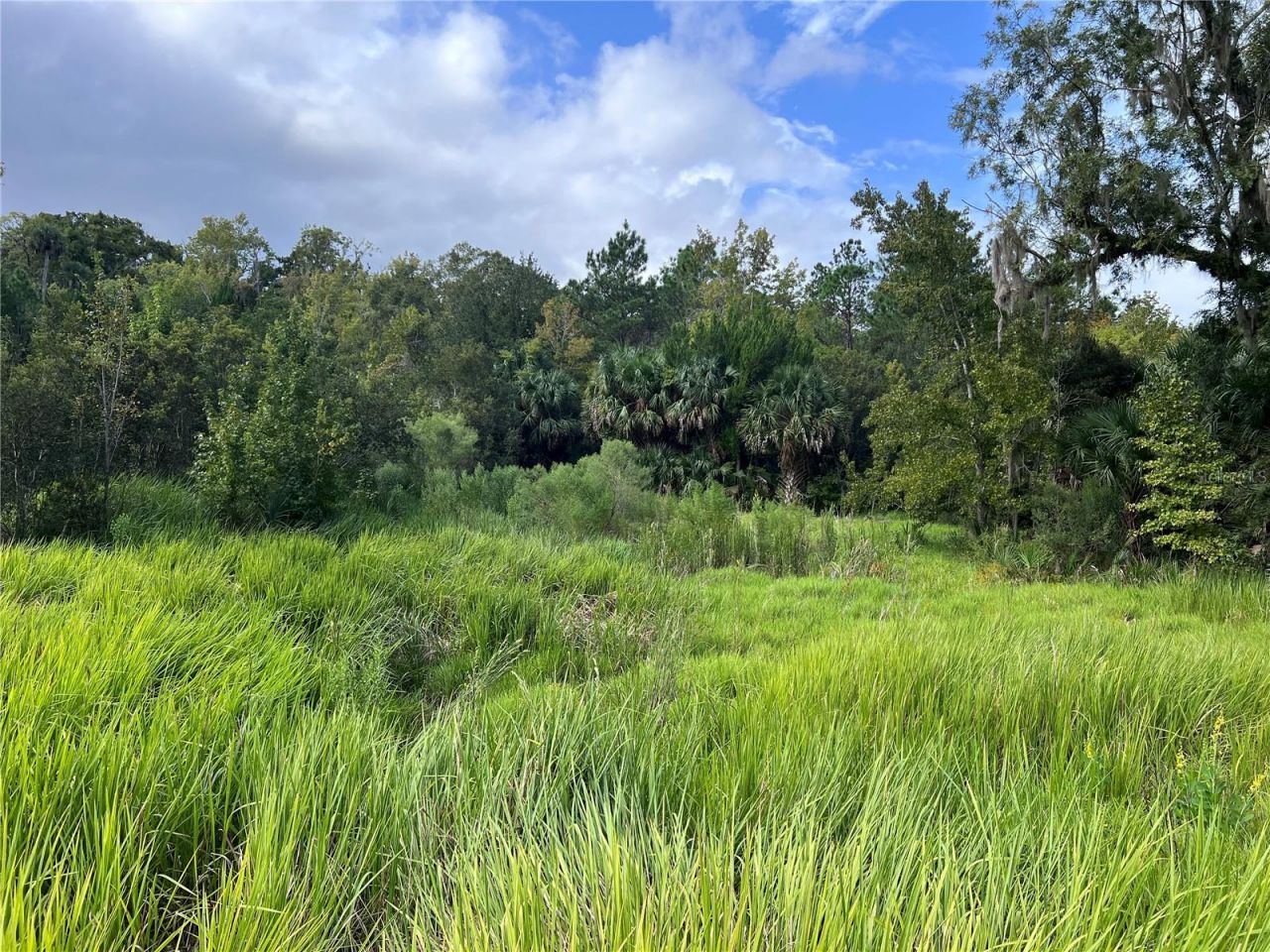 Nfs 73 / Alco Road, Astor, FL 32102 Photo