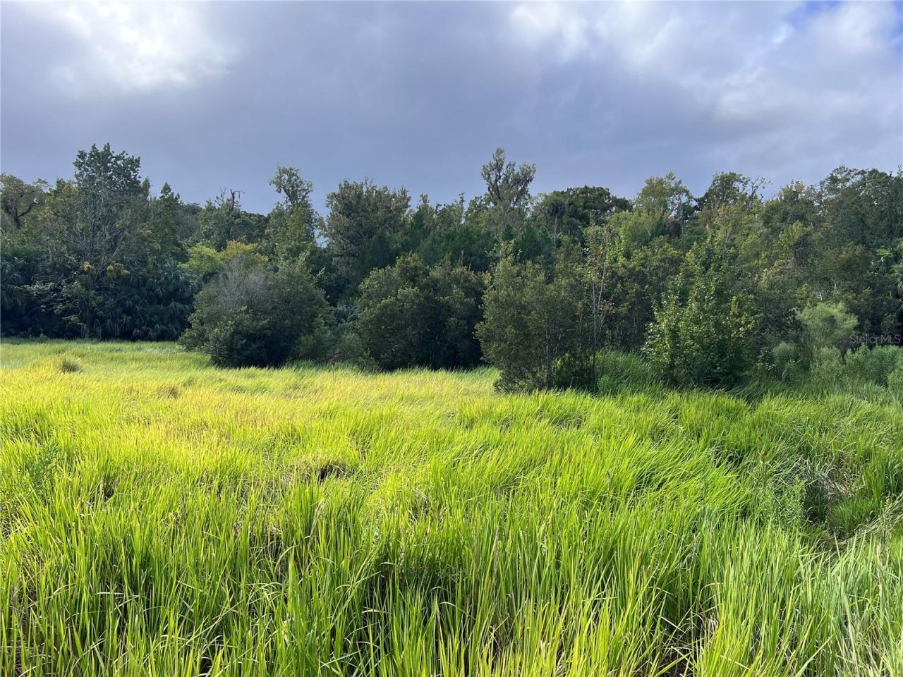 Nfs 73 / Alco Road, Astor, FL 32102 Photo