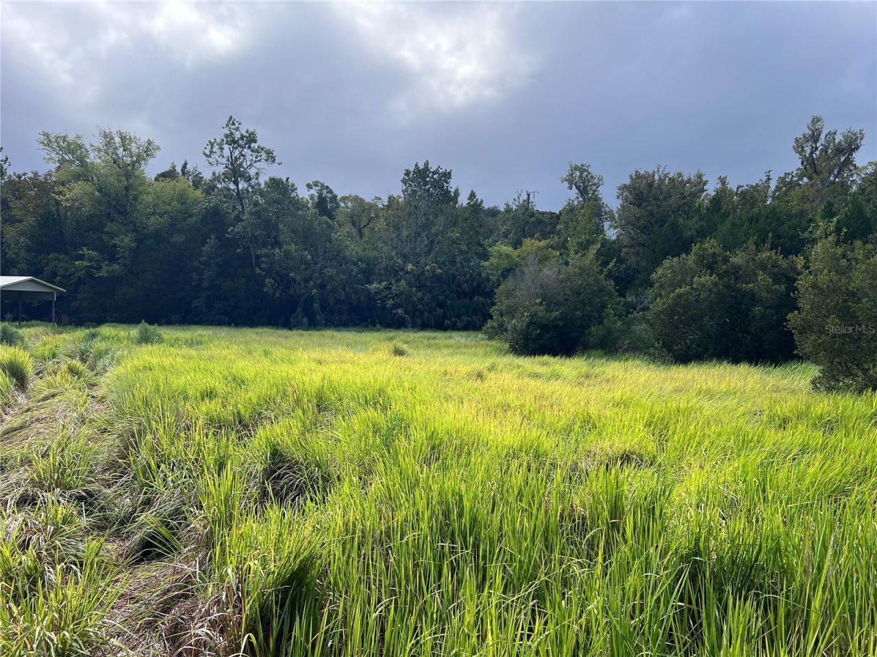 Nfs 73 / Alco Road, Astor, FL 32102 Photo