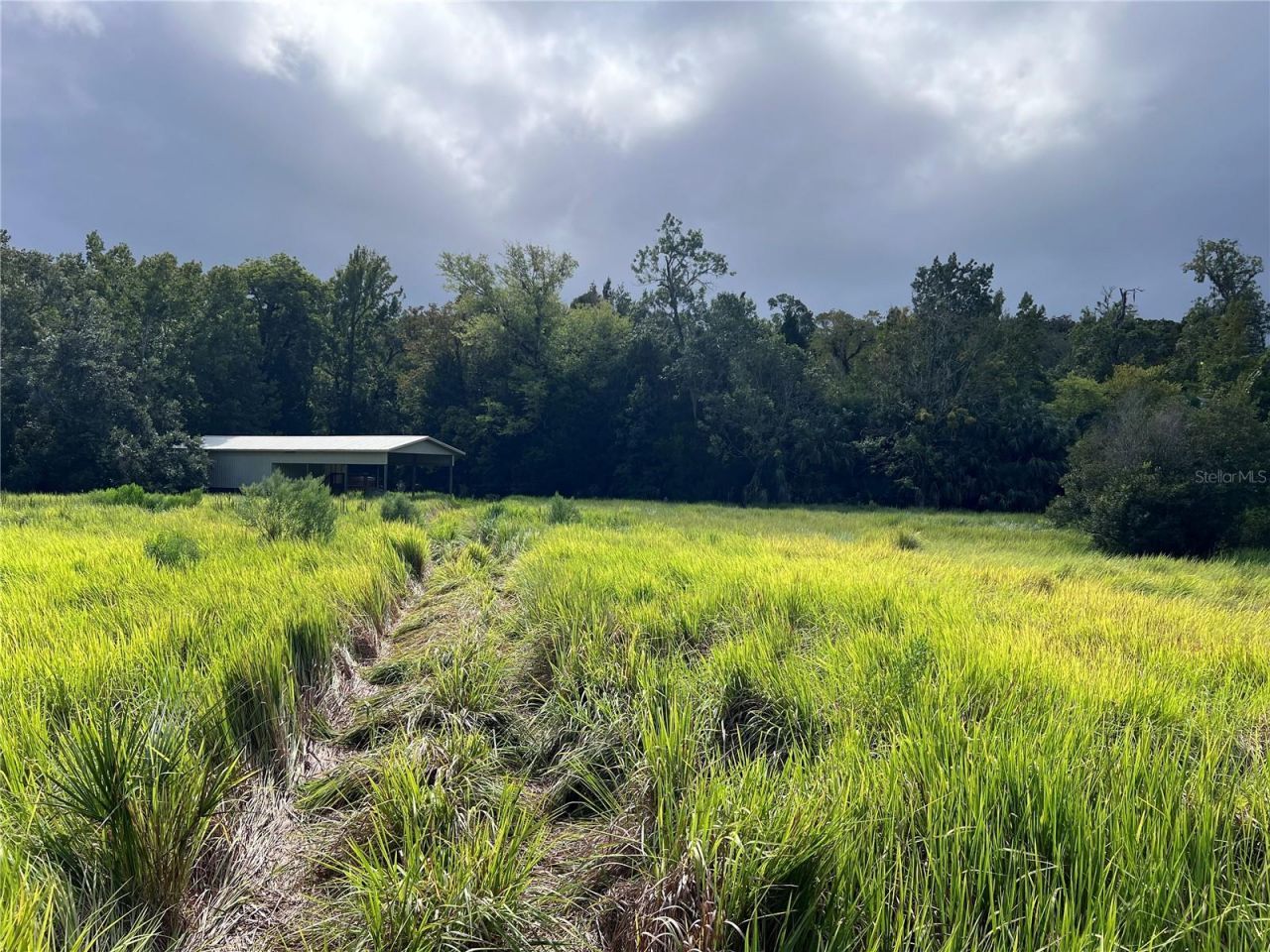 Nfs 73 / Alco Road, Astor, FL 32102 Photo