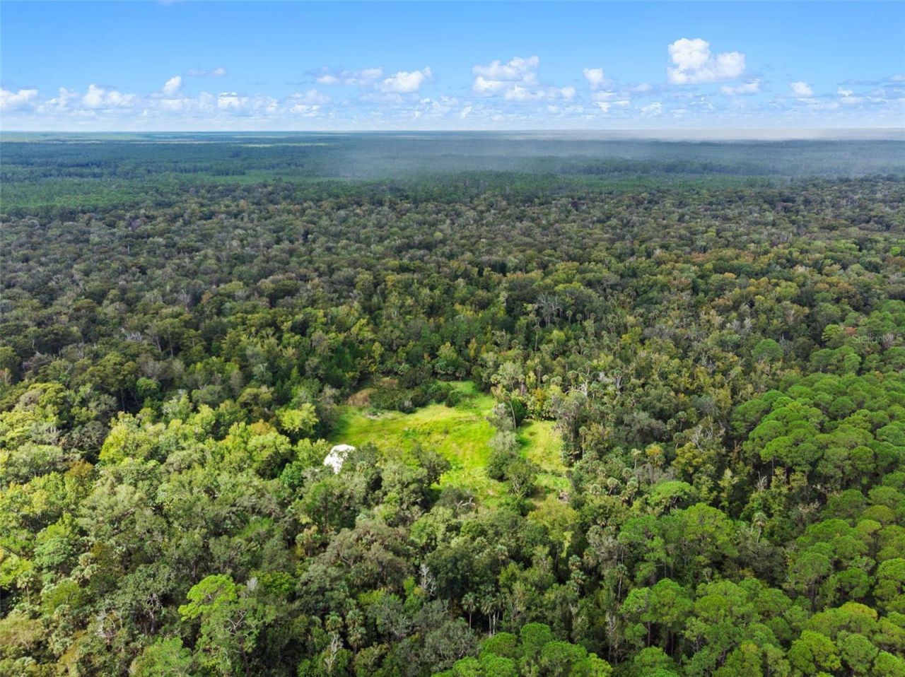 Nfs 73 / Alco Road, Astor, FL 32102 Photo