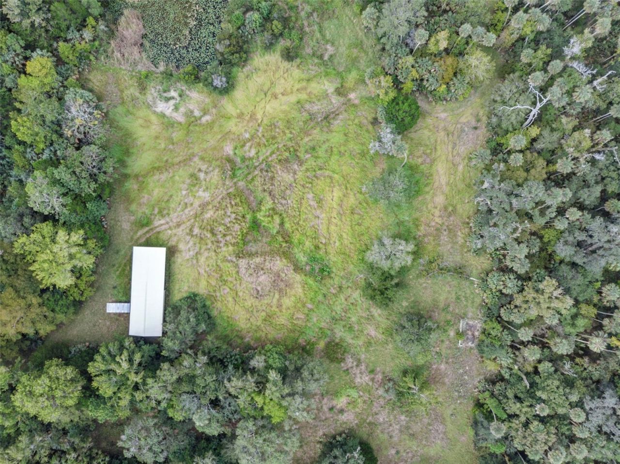 Nfs 73 / Alco Road, Astor, FL 32102 Photo