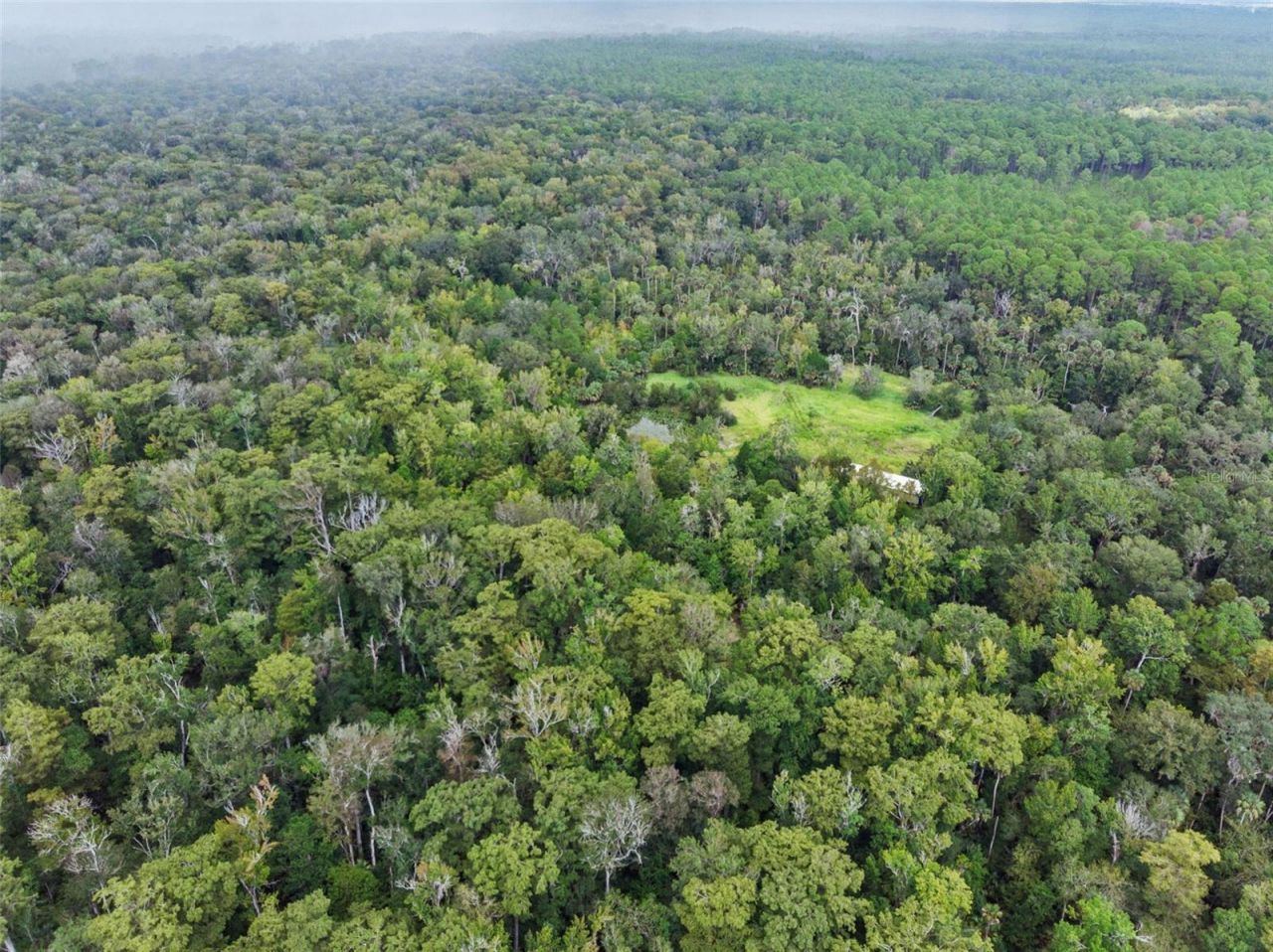 Nfs 73 / Alco Road, Astor, FL 32102 Photo