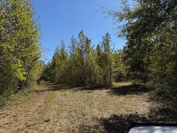 83 HAYS RD, Moscow, TN 38057