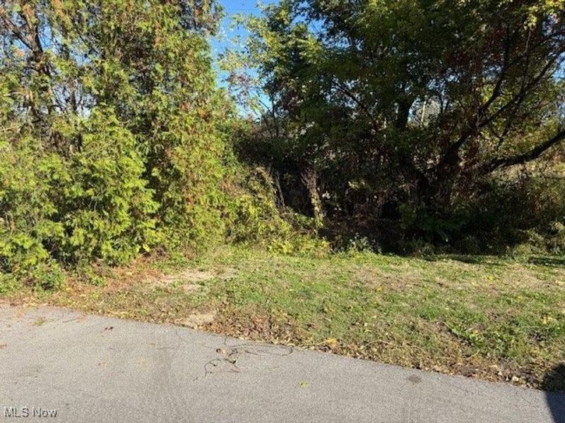 2069 Penguin Avenue, Akron, OH 44319 Photo 4