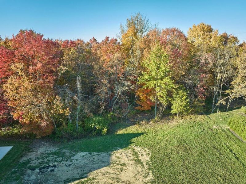 820 Alicia Kelton Drive, Delaware, OH 43015 Photo 2