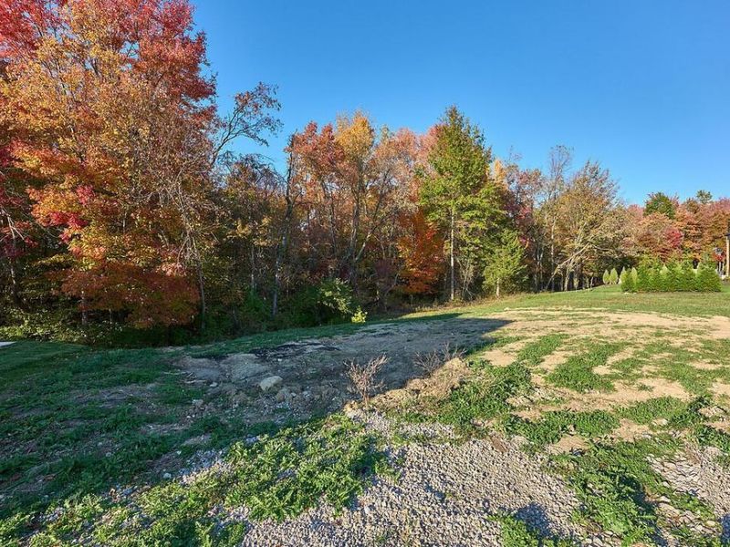 820 Alicia Kelton Drive, Delaware, OH 43015 Photo 3