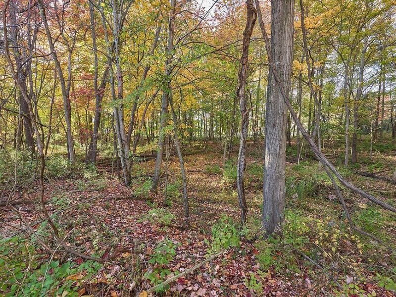 820 Alicia Kelton Drive, Delaware, OH 43015 Photo 6