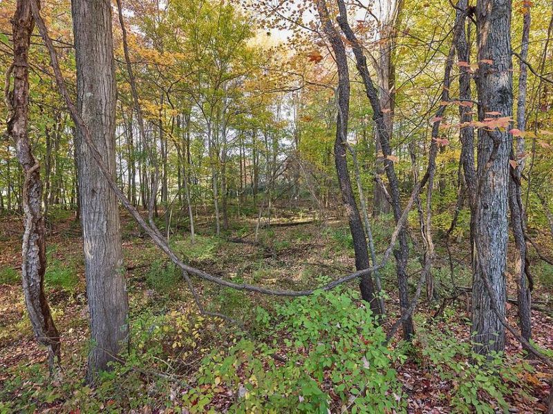 820 Alicia Kelton Drive, Delaware, OH 43015 Photo 7