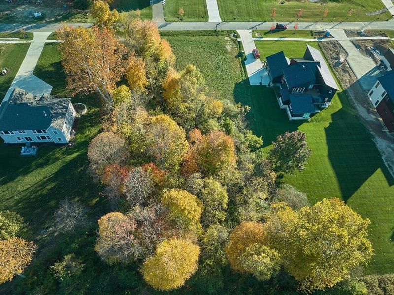 986 Lale Point, Delaware, OH 43015 Photo 4