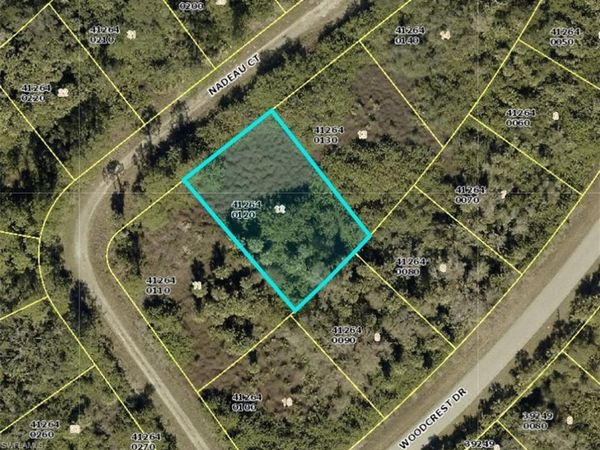 641 NADEAU CT, LEHIGH ACRES, FL 33974