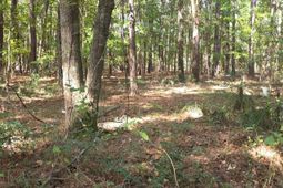 1128 Choice Road photo 4