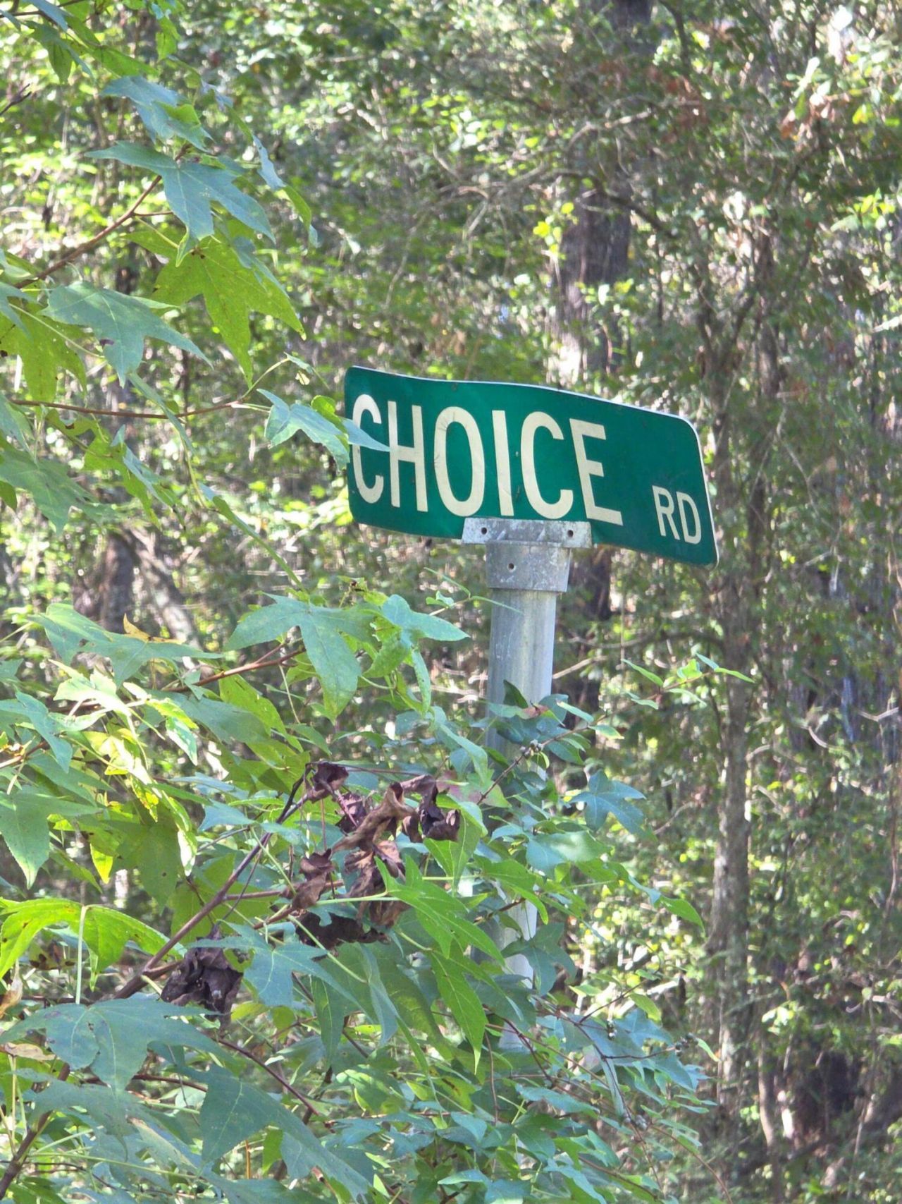 1128 Choice Road Photo 4