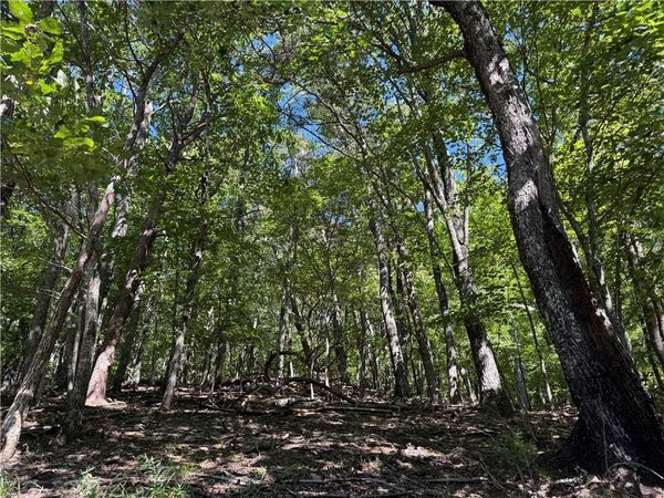 0 Moss Patch Trail, Jasper, GA 30143