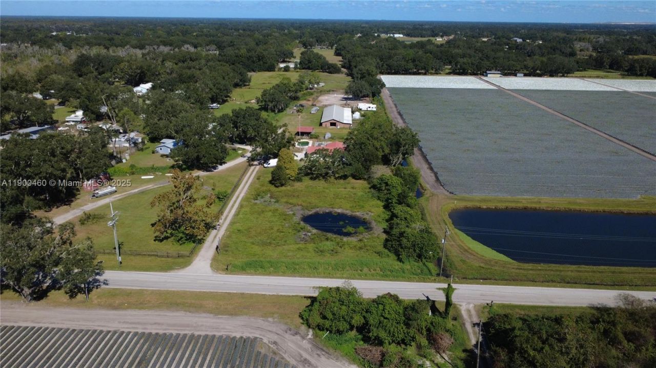 5902 Thonotosossa Rd, Plant City, FL 33565 Photo
