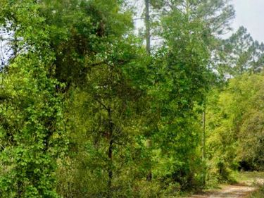 TBD N Edgeline Rd, Satsuma, FL 32189